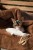 IMG_6082.jpeg