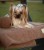 IMG_2249.jpeg