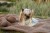 IMG_2250.jpeg