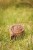 IMG_6093.jpeg